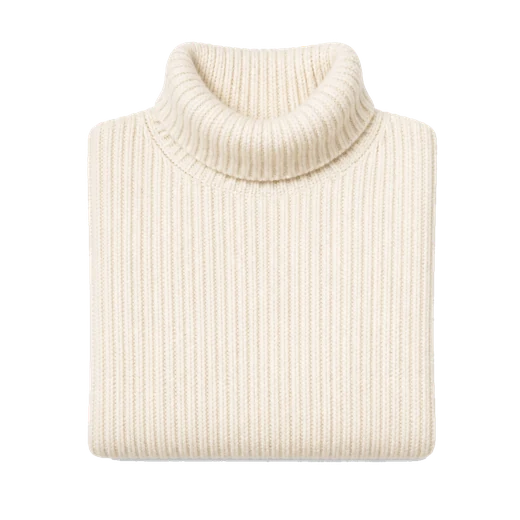 Cream ribbed roll-neck